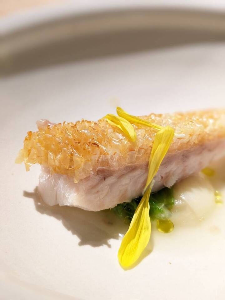 おまかせコース