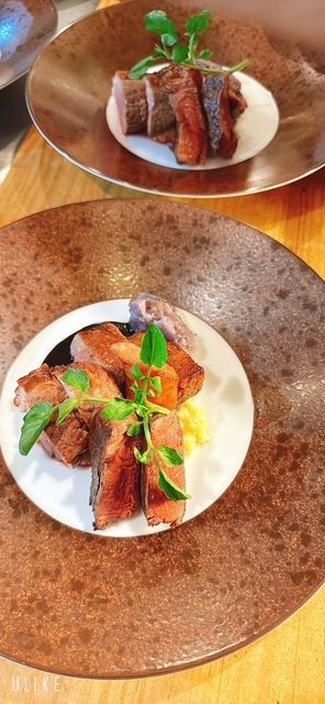【北海道の旬と選べるお肉を“松コース”】 