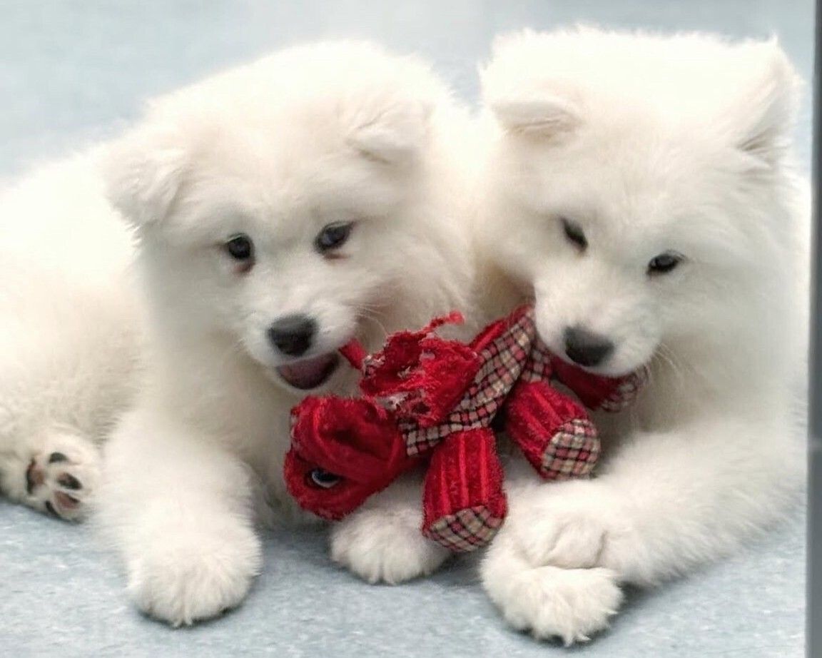  Regular ticket (50 minutes)