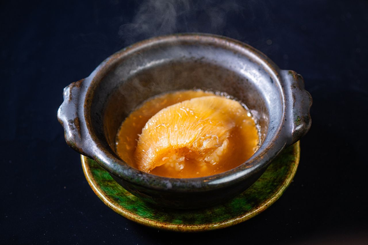 [Optional] Shark fin