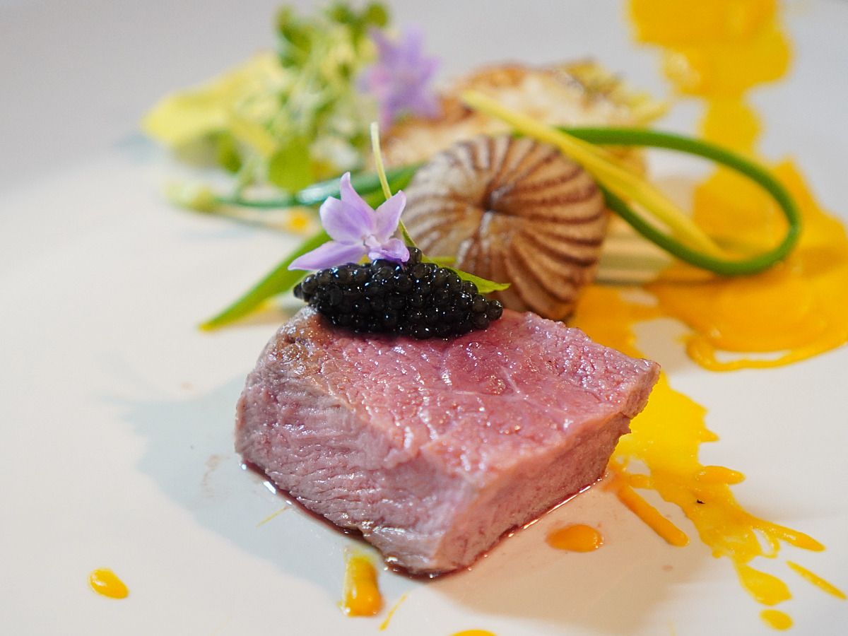 หลักสูตรนวัตกรรม Vermillion