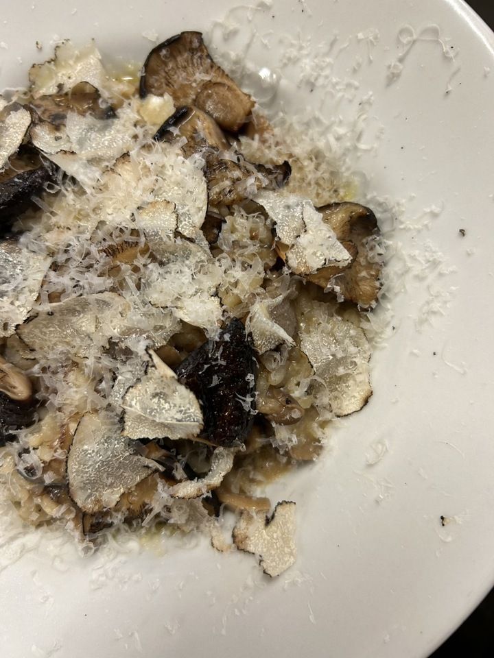 [Un piatto a persona] Piatto speciale (7 piatti)