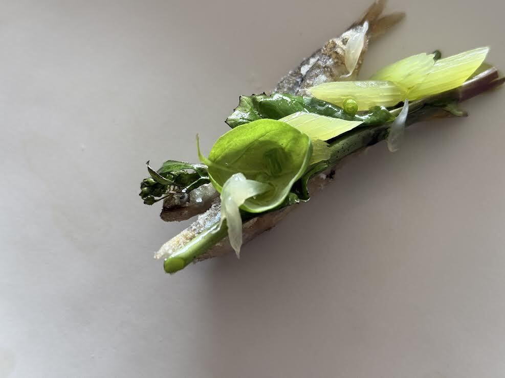 Fiorichiari short course