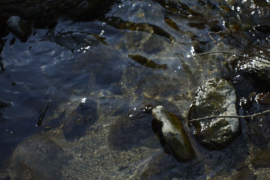 Tasting Course-Alcohol Pairing