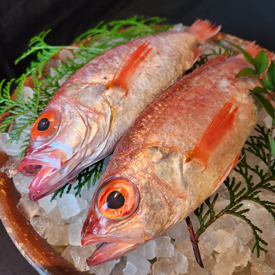 [かがやき] "Salted grilled black porgy", "Natural rock oysters", "Kuzuryu sweetfish clay pot rice", "Echigo beef and summer vegetables steamed in a bamboo steamer" and more - 8 dishes in total