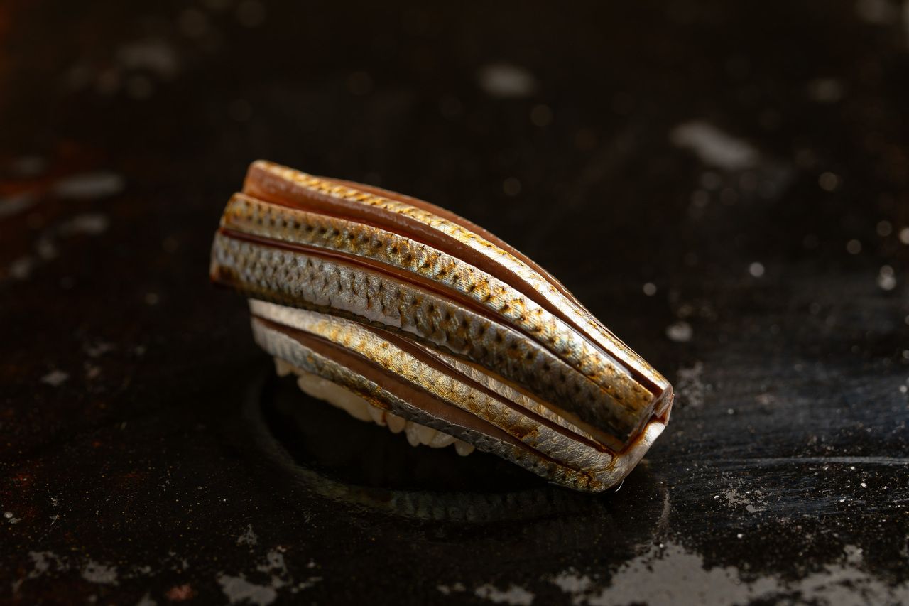 【Dinner】おまかせコース