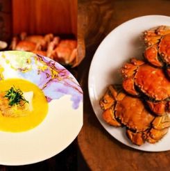 보탄 디너 코스