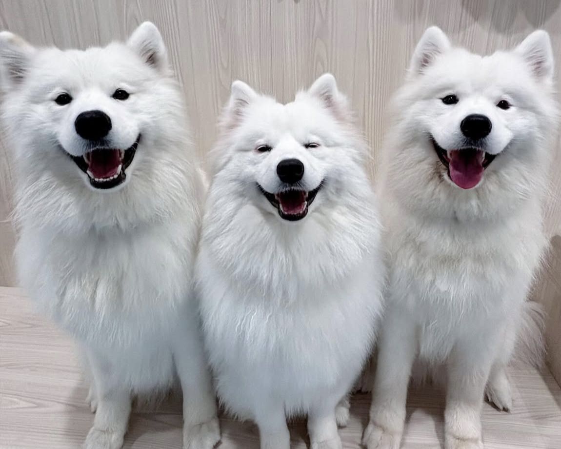  Regular ticket (50 minutes)