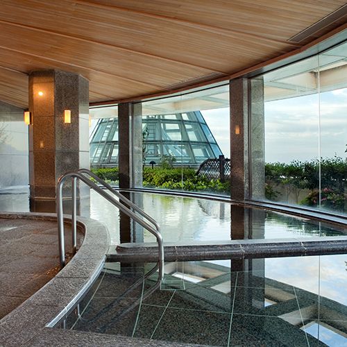 【11/21～1/12】Hot Spring & Dinner Buffet