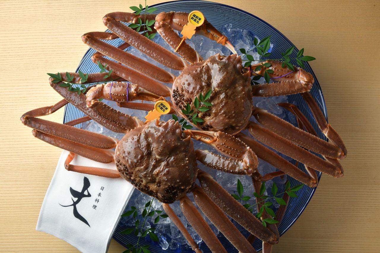 【ペアリング付き】ディナーコース（個室限定）