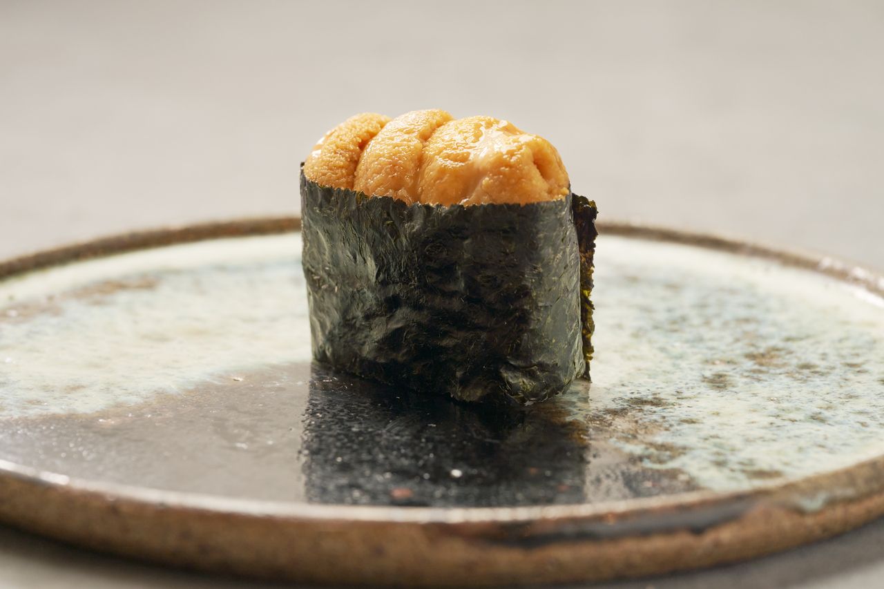 [Omakase ■ Sea Route Course] 