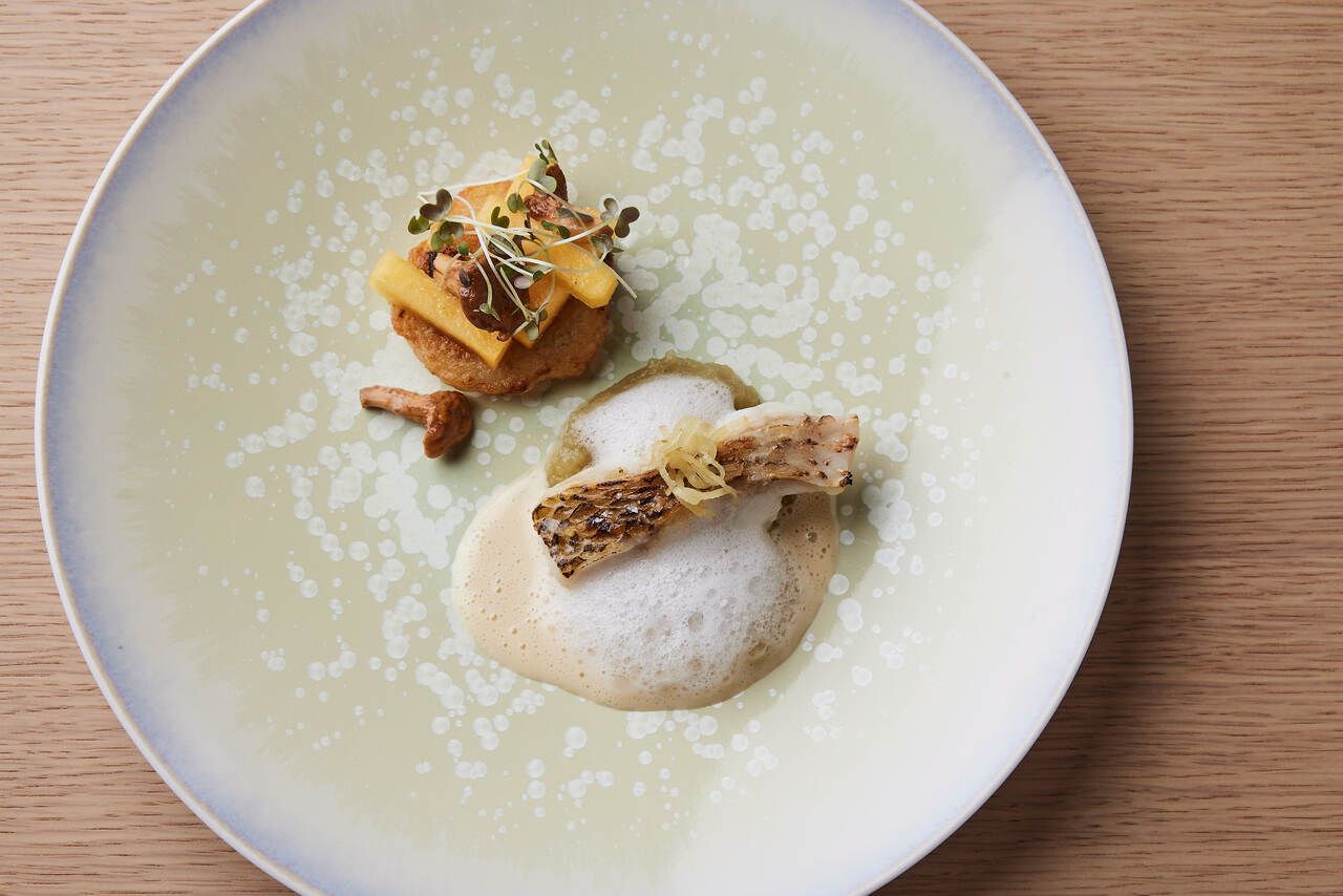 [Limited to February 15th] Lunch course with 7 dishes