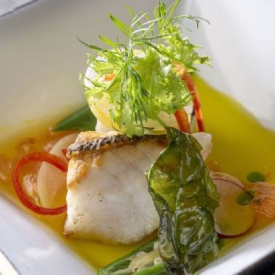 5-6月 初夏ランチ