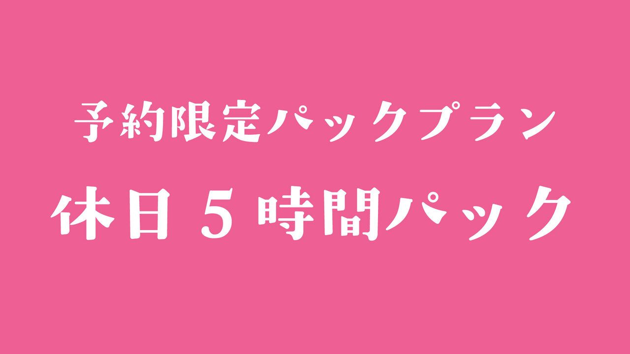 休祝日 5時間パック