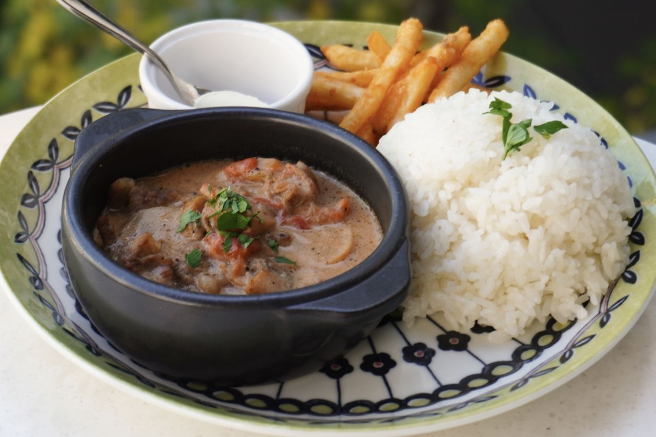 선택할 수 있는 런치 플레이트(샐러드・음료 바 첨부) 4/20～