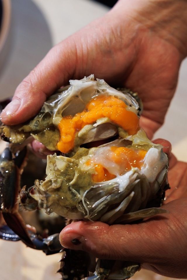[Crawfish Kejang Course]