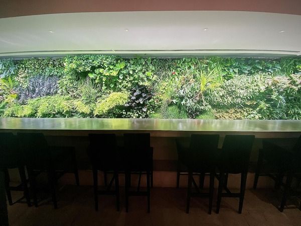 Counter seats
