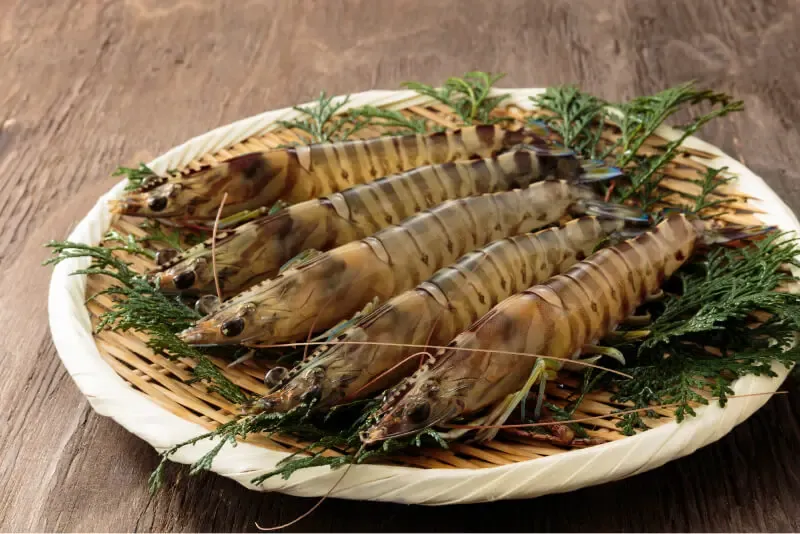 Tempura Murayama