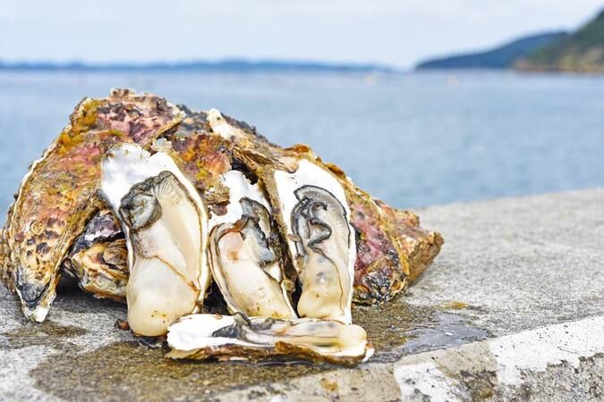 Sendai Kiyoe Shokudo