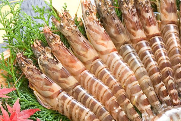 Directly managed by Kumamoto Farm Fujiki Shoten