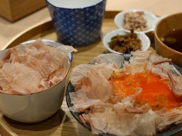 Katsuo Wonderland