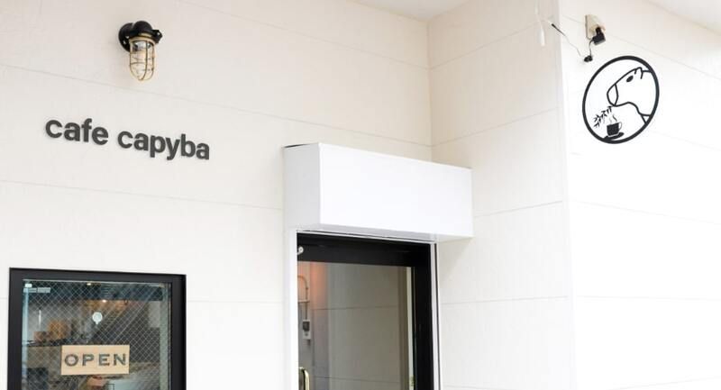 cafe capyba