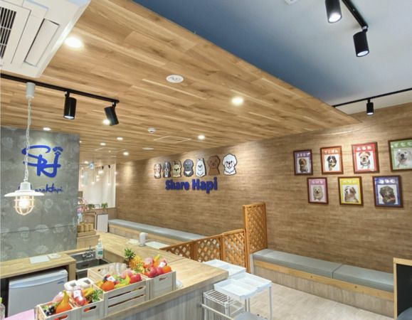Large Dog Cafe Share Hapi
