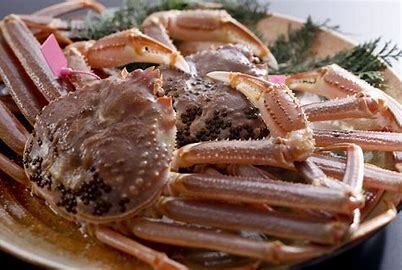 Live Matsuba crab and grilled Japanese black beef Chateaubriand course [Available from November 8th to early April] 60000yen and up (market price) *Prices are approximate as the market price for this season has not yet been determined.