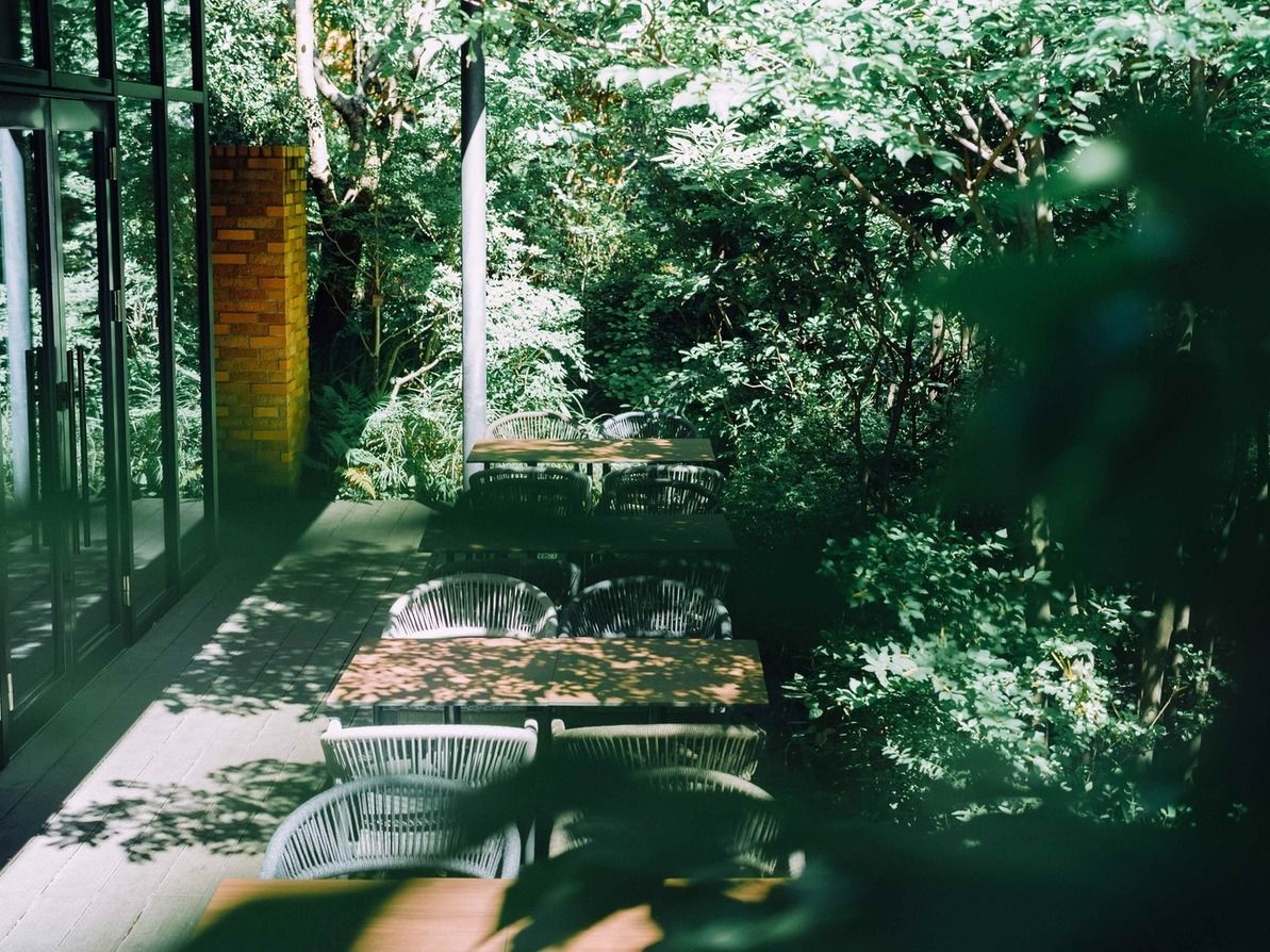 【신록 LUNCH 코스 테라스 확약】 4월 29일~5월 25일 신록 LUNCH 코스텔라스 확약 플랜 6500엔 (LUNCH)