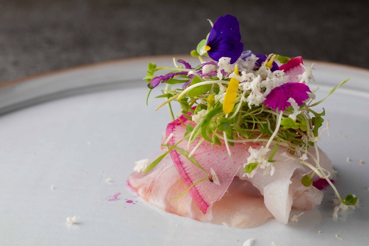 おまかせ　ディナーコース  