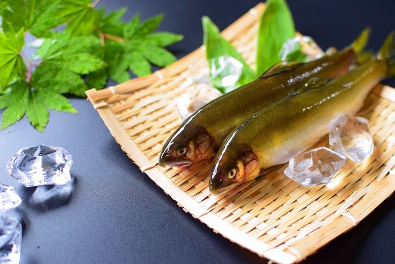 夏食材のスペシャルコース