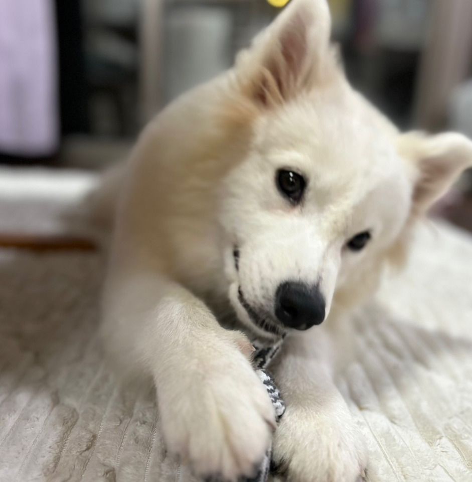 [Advance reservation/Saturdays, Sundays, and holidays] Store use ticket (1 hour) 