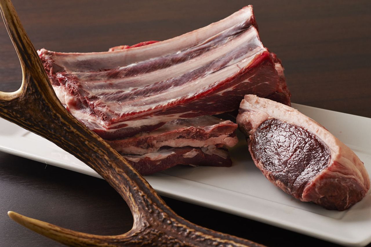 Dinner　おまかせⒹ　ジビエ