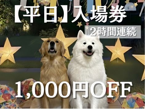 Admission ticket (weekdays)