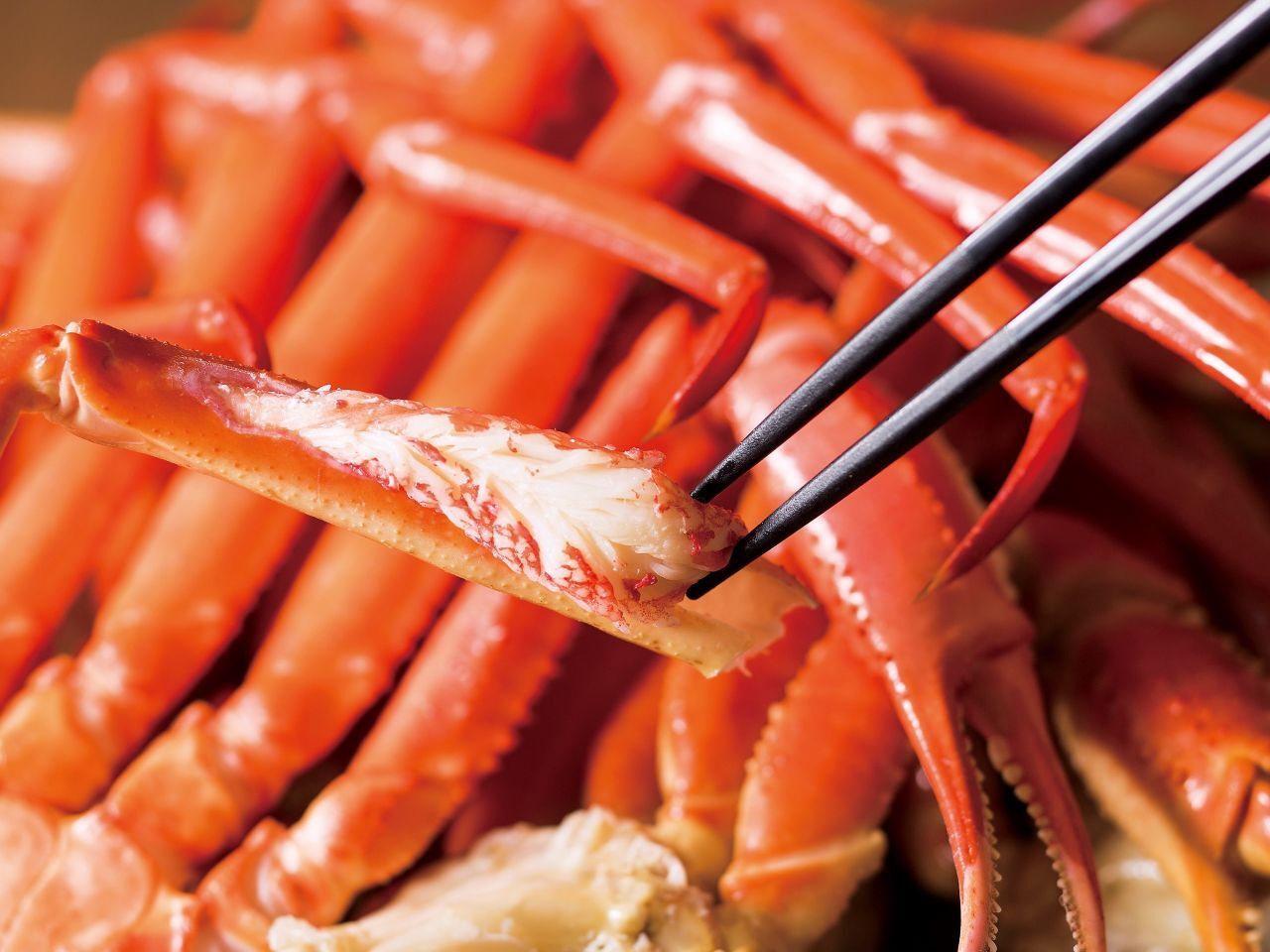 Steak & crab all-you-can-eat dinner buffet（children's admission fee）