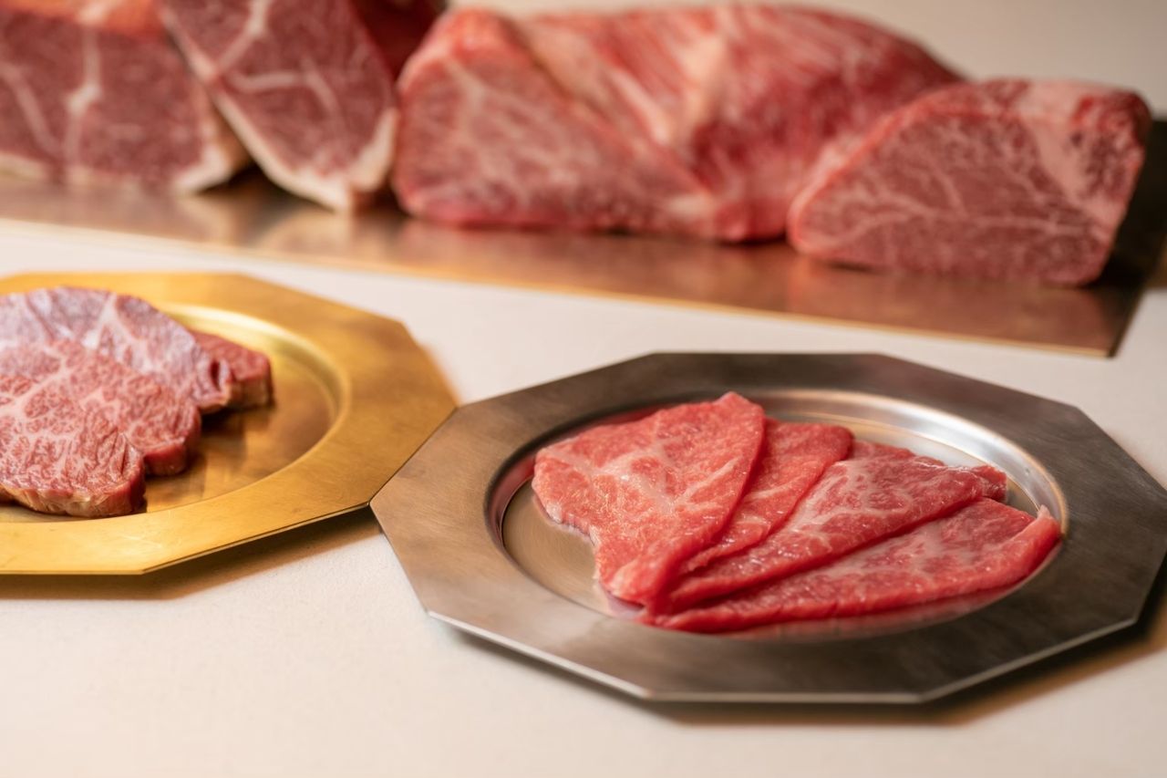 KINOE Meat Course Ultimate