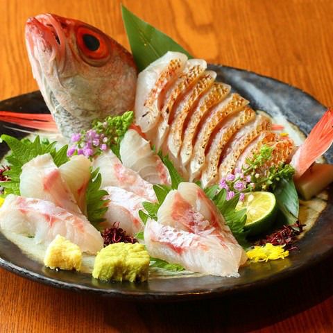 红眼黑喉海鲈 - 柊课程