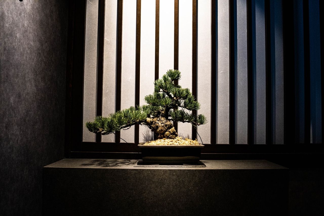 セレクトコース【IG予約】