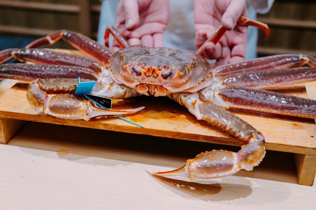 おまかせズワイ蟹コース