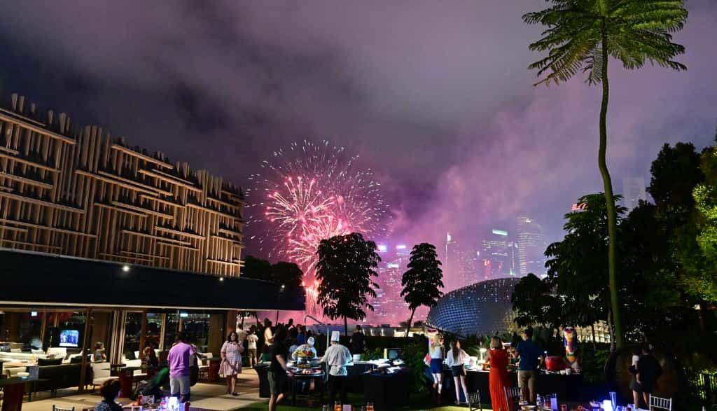 Fireworks Countdown - Adult (Champagne Package)