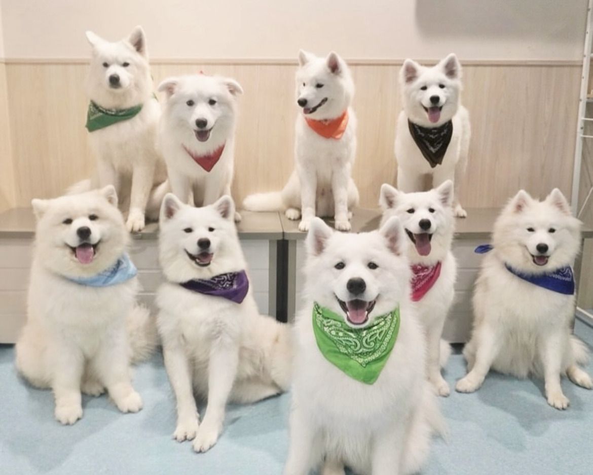 ≪冬休み期間 ≫通常チケット（50分）