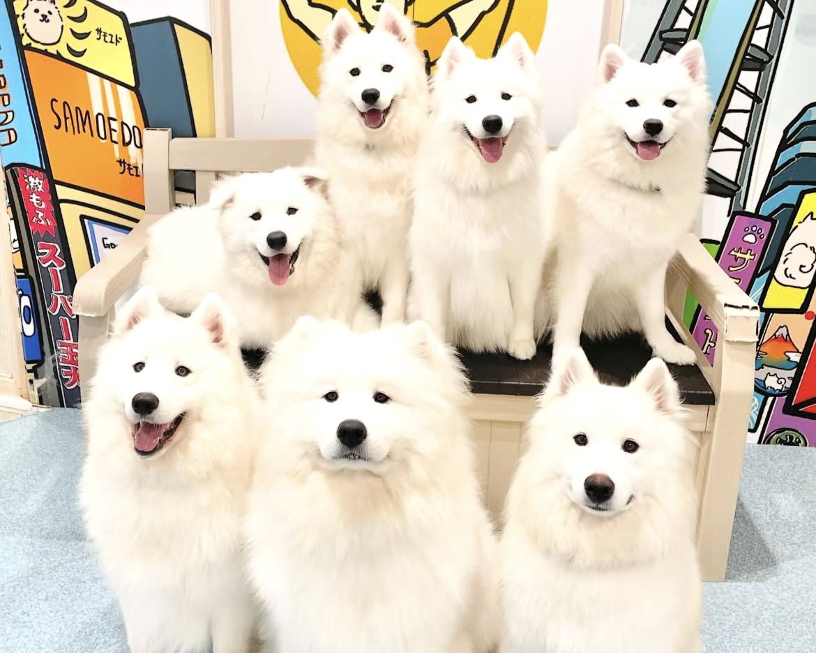  Regular ticket (50 minutes)