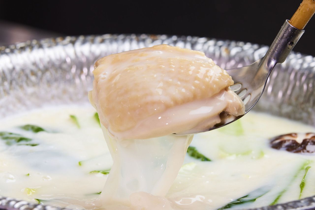 Mizutaki hotpot course reservations