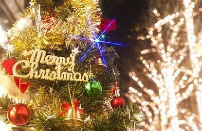 9:30 PM Limited / Cinderella Christmas [December 20th-21st / 12 varieties] Christmas Dinner with 100 Scenes on Earth - A Holy Feast of Sparkling Night Views and Japanese Cuisine - Includes a Sparkling Wine Toast