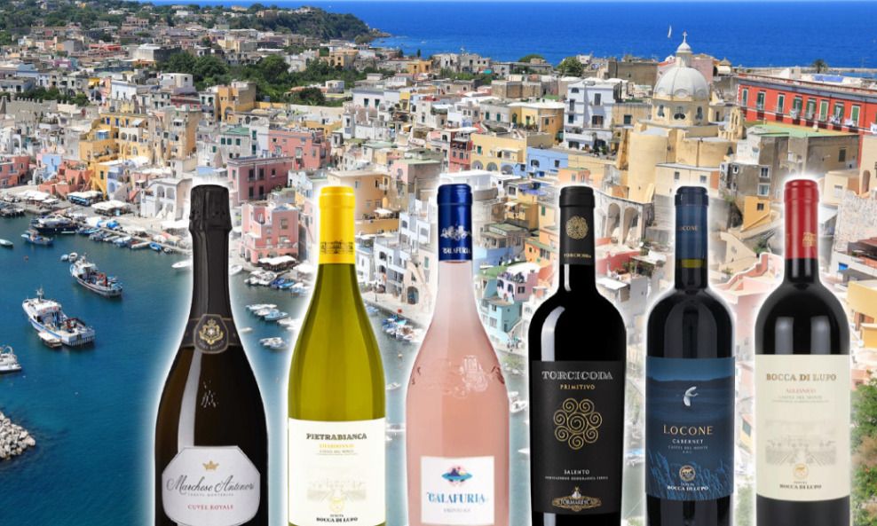 【2月13日開催】第17回ナポリの夕べ　～南イタリアを愉しむ夕べ～