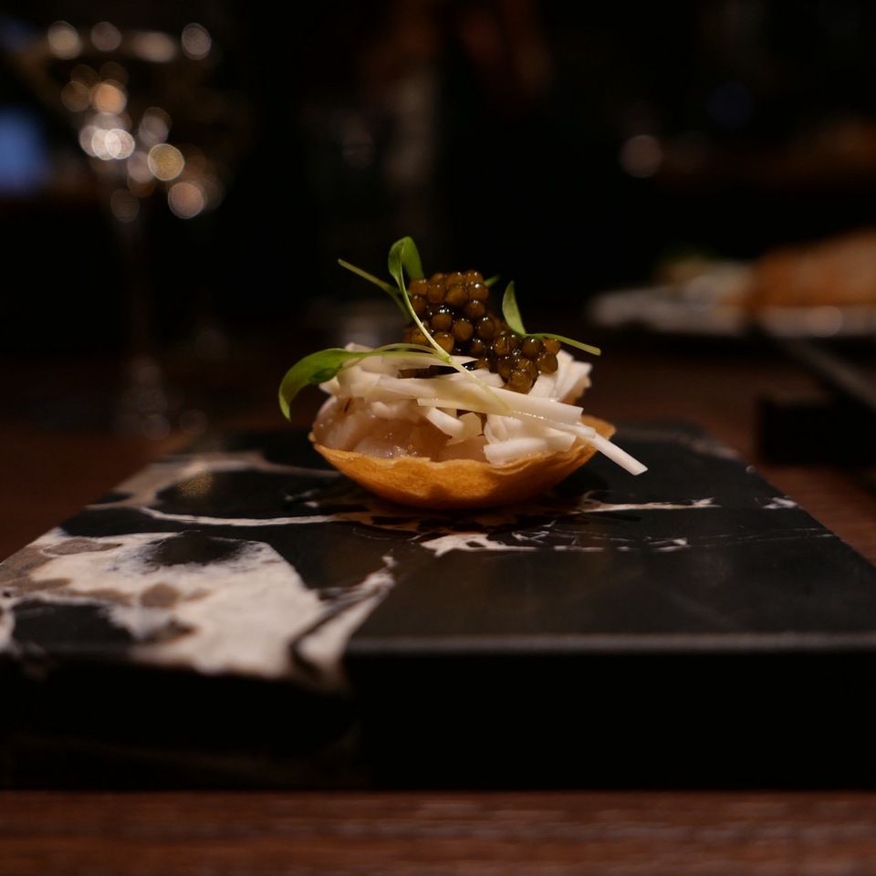 ディナーコース