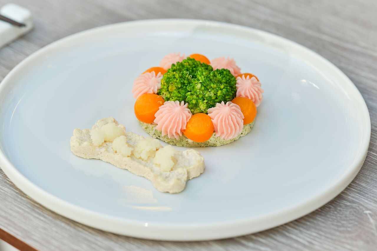 春【わんちゃん用オプション】わんプレートランチ