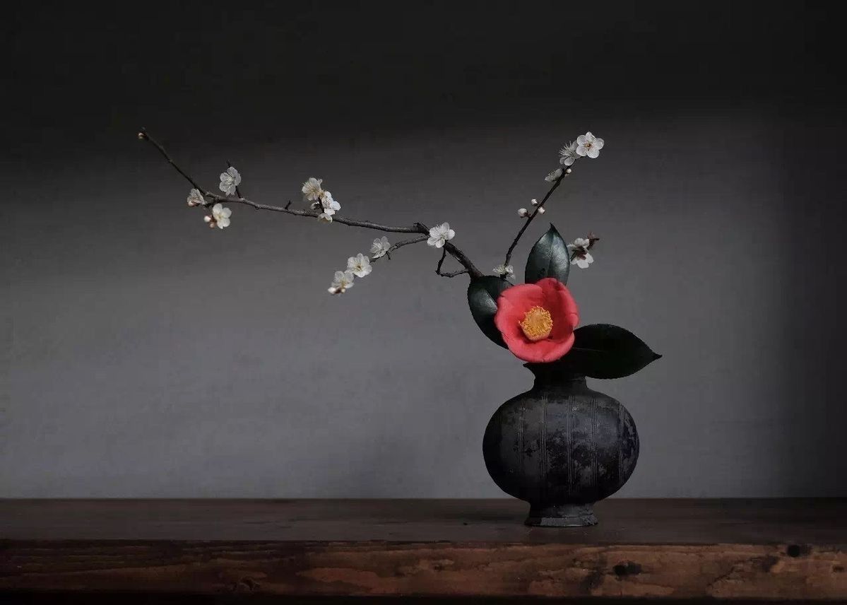 継　8,000円コース