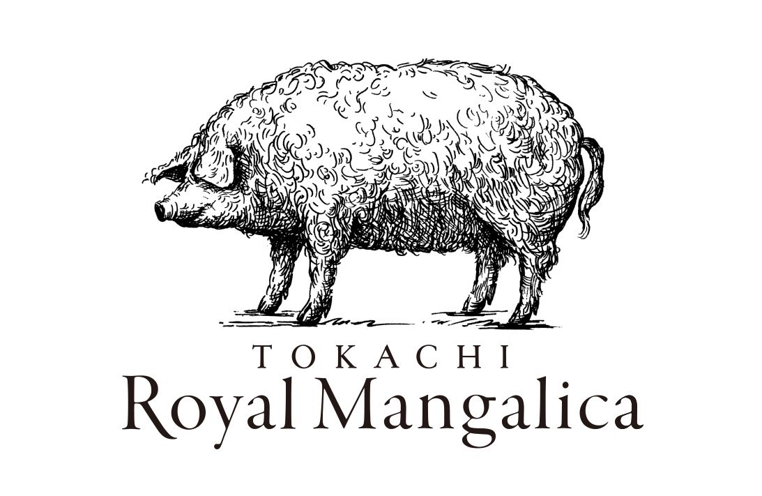 【地産地消少量多皿全20皿おまかせディナーコース　メイン肉料理十勝ロイヤルマンガリッツア豚】