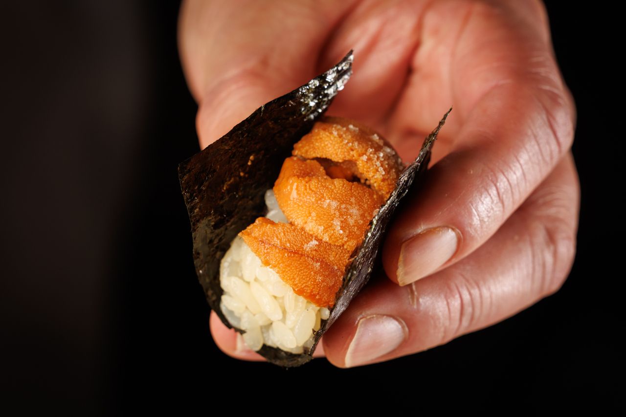 雲丹の食べ比べ、本鮪、桜マス等、旬の最高食材の『大将おまかせコース』